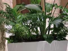 -太湖饭店·寄畅轩中餐厅