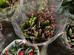 -金陵花卉交易市场