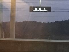 -岳阳东站