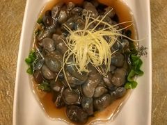 -苏浙汇(朝外店)