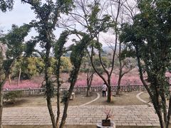 -无锡梅园公园