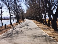 -野鸭湖国家湿地公园