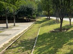 -永定河休闲森林公园