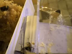 -罗莎蛋糕(建设路店)