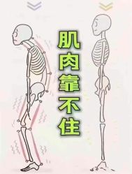 -归位瑜伽&归位普拉提