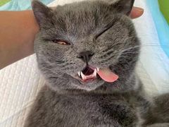 -美迦爱-牙专科·兔科·骨科诊疗中心(北苑店)