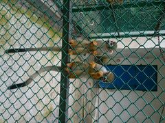 -广东茂名森林公园