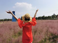 -鹅湖玫瑰文化园