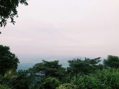 -黄埔油麻山森林公园