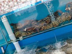 -港畔赶海蒸汽海鲜烧烤自助(仙螺岛店)