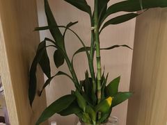 -岚魅儿·洗头头疗·按摩SPA(金光华店)