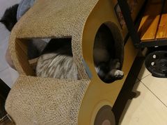 -小时光咖啡馆(开森度假森林店)