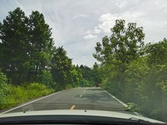 -岣嵝峰国家森林公园