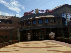 -上海野生动物园老虎餐厅