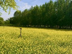 -长白岛森林公园