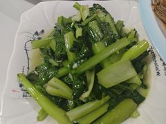 -煲来饱去冷水鱼