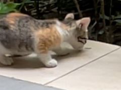 -四宜糕团店(南大街店)