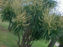 android_upload_pic-万绿园