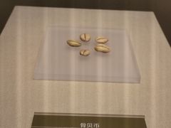 -嘉定博物馆