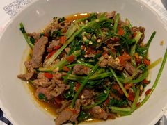 香菜炒牛肉-壹盏灯(惠农店)