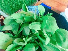 鸡毛菜-湊湊火锅·茶憩(上海合生汇店)