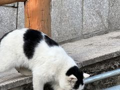 -慕田峪长城