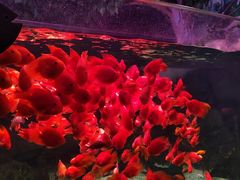 -常州海昌海洋探索馆