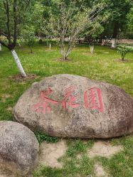 -玄武湖景区-情侣园游乐场