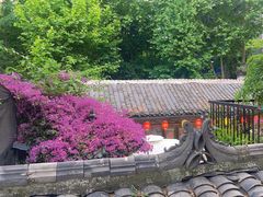 -院8里·少城记忆老川菜(宽窄巷子店)