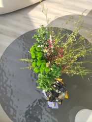 -HEYAN荷妍专业脱毛连锁机构