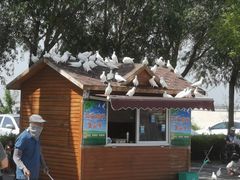 -天津妈祖文化园