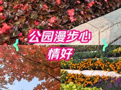 -回龙观体育文化公园