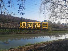 -坝河休闲公园