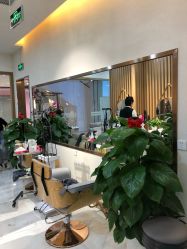 -尚·丹尼Hair