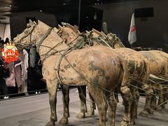 -秦始皇帝陵博物院-丽山园