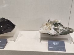 -安徽省地质博物馆