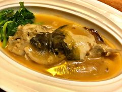 河豚鱼-柒厢食事雅谈