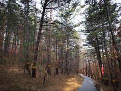 -帽儿山国家森林公园