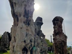 -烟台自然博物馆