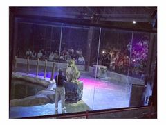 -清迈夜间动物园