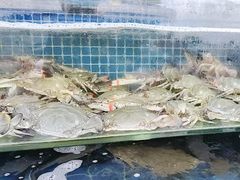 -常家活海鲜小吃(仅一家无分店)