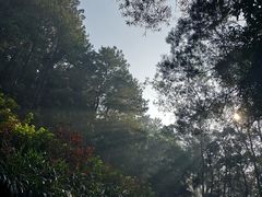 -白云山风景名胜区