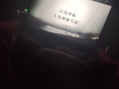 -中影嘉华国际影城(大芬星都里店)