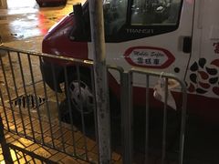 -富豪雪糕车流动点(尖沙咀)