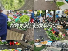 -淡村菜市场