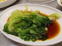 白灼生菜-老绍兴养和饭店(向阳不夜城店)