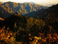 -大岭沟猕猴桃谷风景区