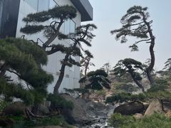 -罗红摄影艺术馆