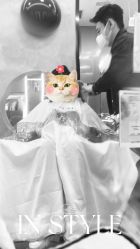 -IN STYLE·全国形象店