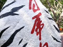 -广州长隆野生动物世界
